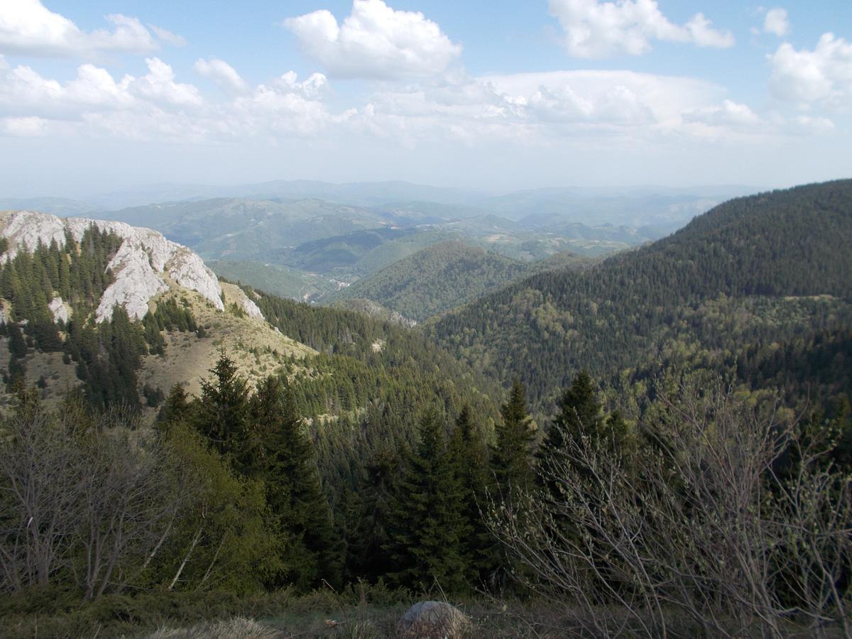 Luksuzni Dupleks Kopaonik Exterior photo