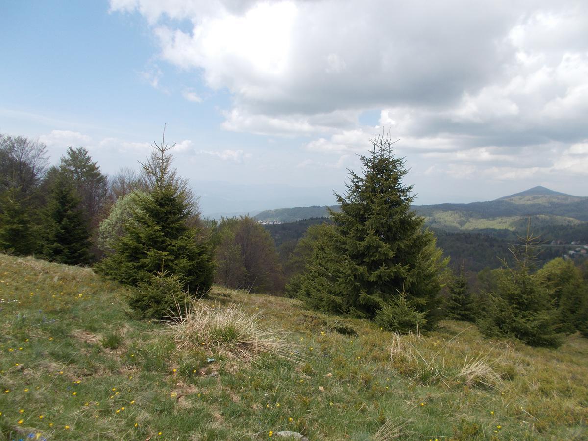 Luksuzni Dupleks Kopaonik Exterior photo