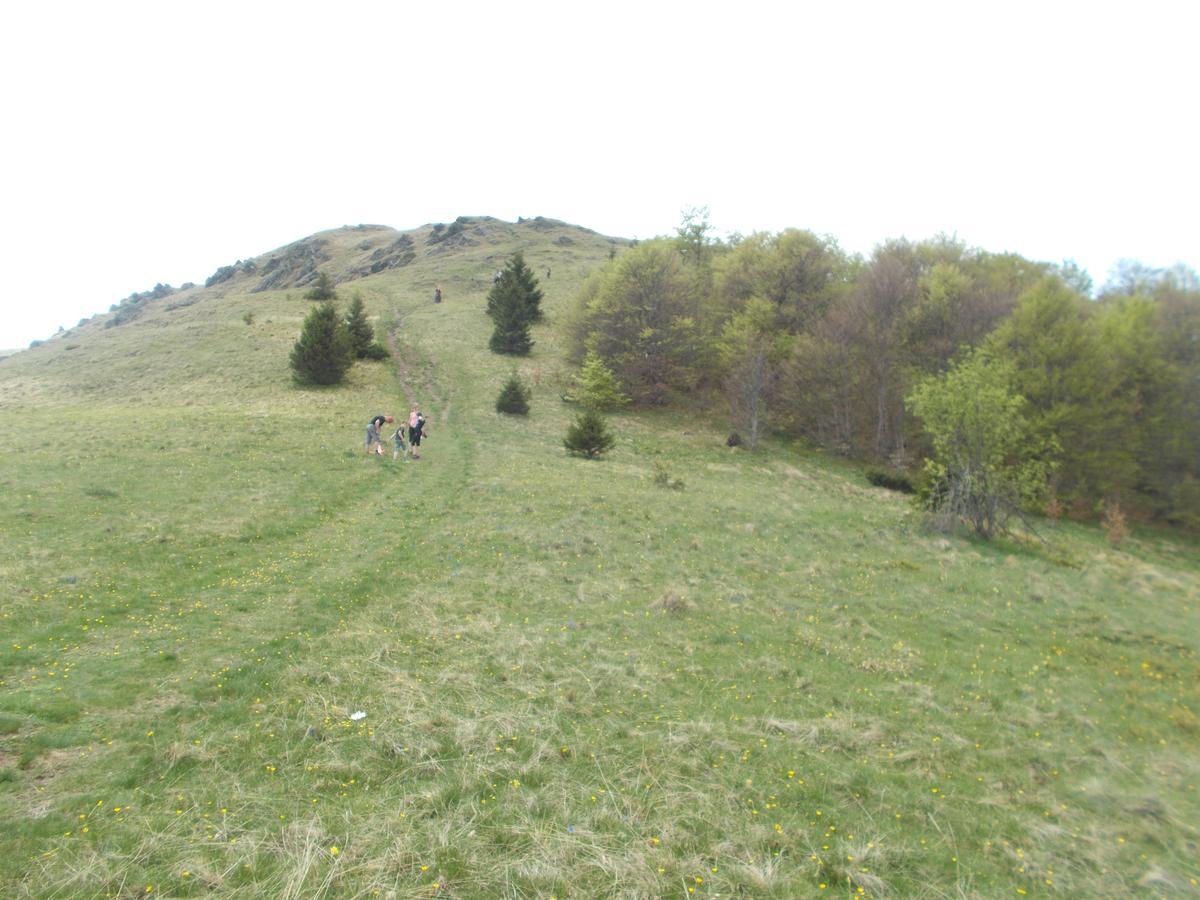 Luksuzni Dupleks Kopaonik Exterior photo