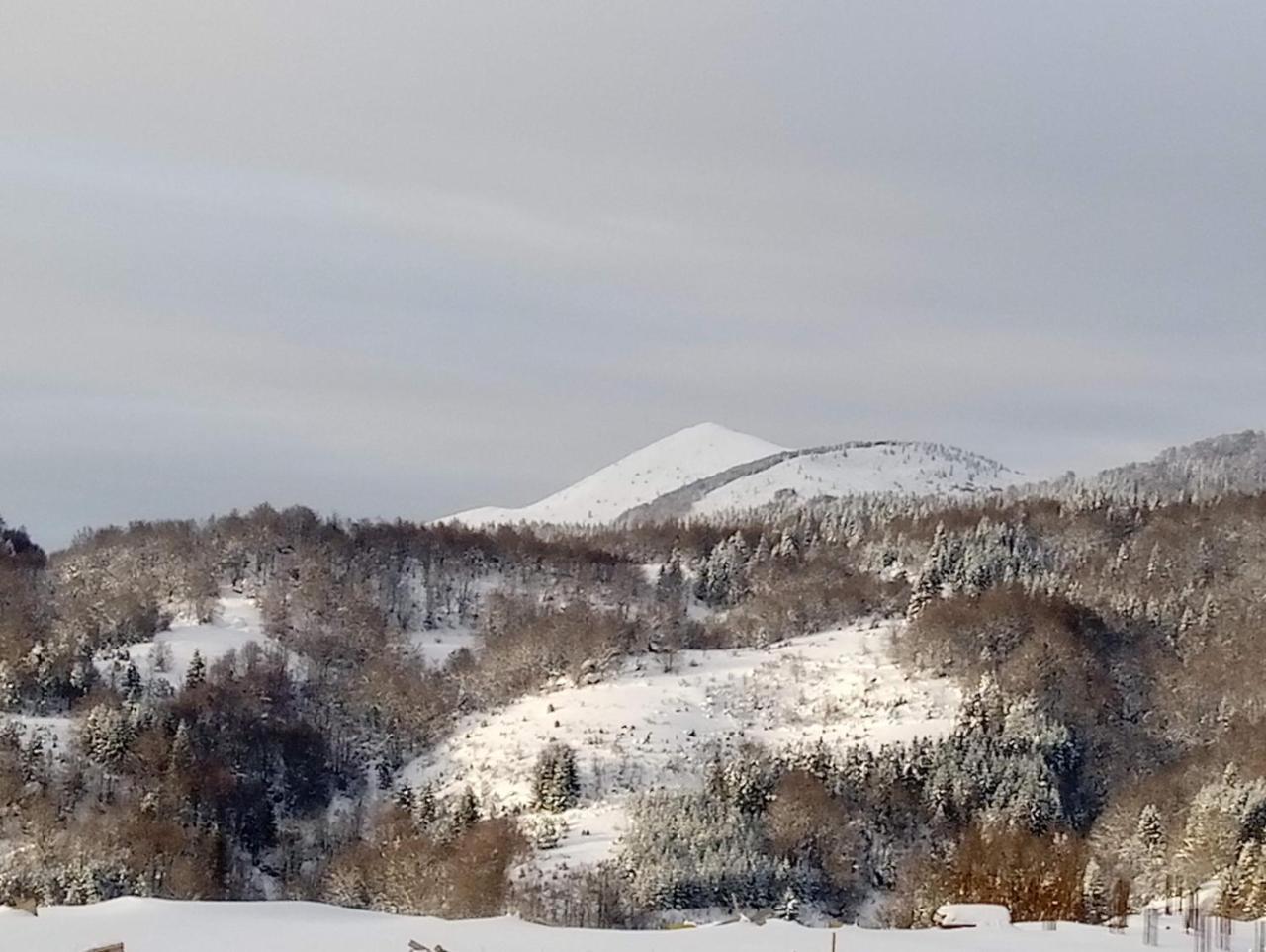 Luksuzni Dupleks Kopaonik Exterior photo